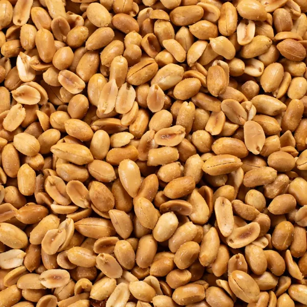 Grote pinda's